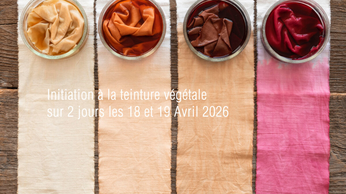 initiation-teinture-végétale-Avril-2026