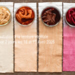 initiation-teinture-végétale-Avril-2026