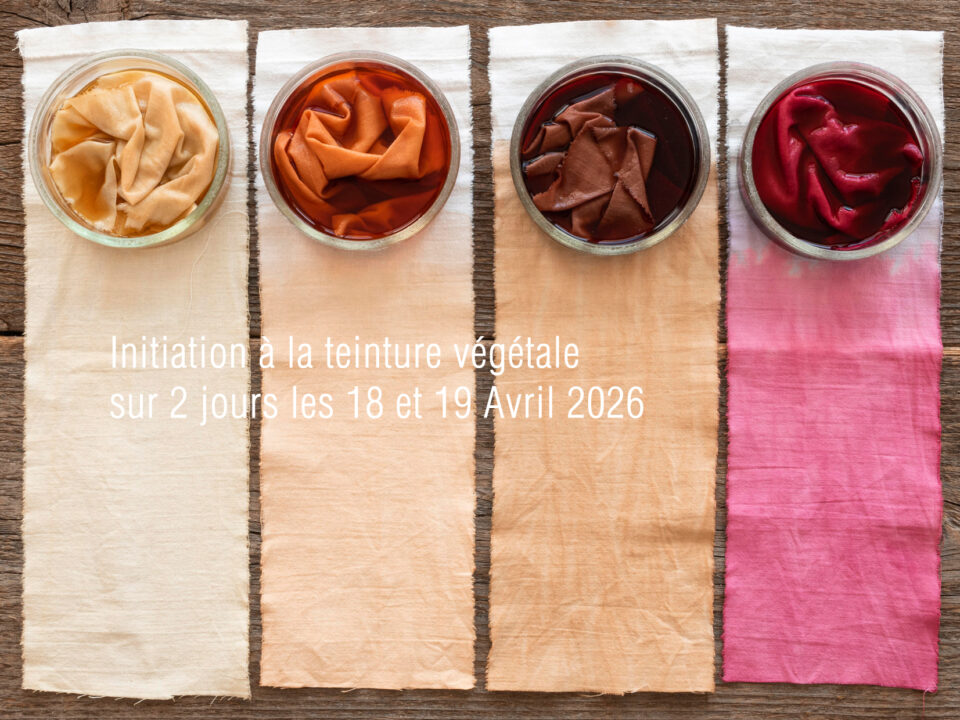 initiation-teinture-végétale-Avril-2026